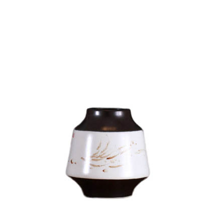 Compatible porcelain for Jahrriesnge cna1246 Compatible porcelain Jahrriesnge for cna1246