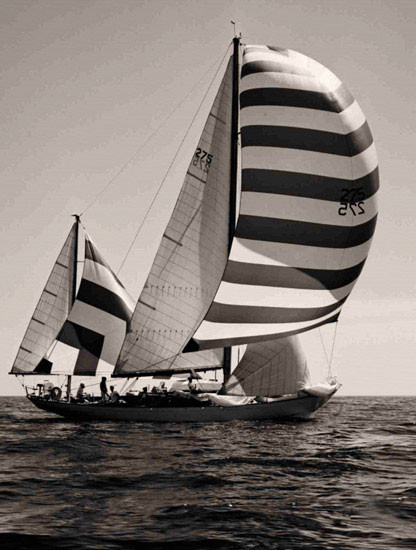 Compatible Landscape for JAHRRIESNGE sailboat-lpf00709 Compatible Landscape JAHRRIESNGE for sailboat-lpf00709