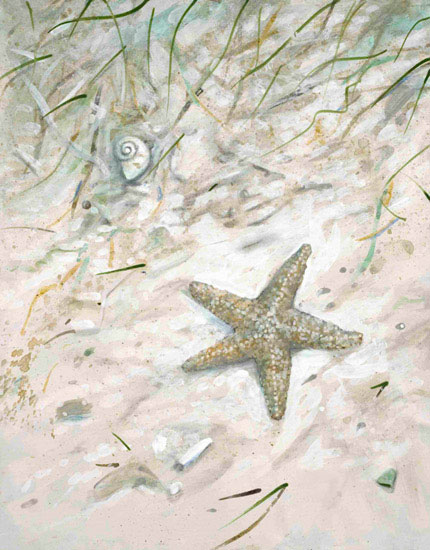 Compatible Landscape for JAHRRIESNGE seastar-lpf00844 Compatible Landscape JAHRRIESNGE for seastar-lpf00844