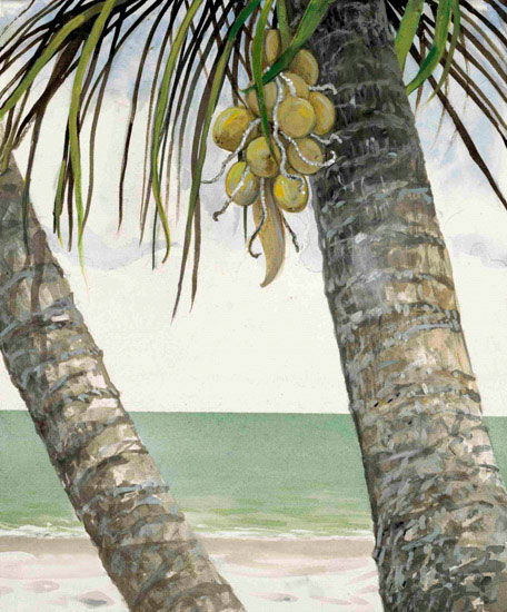 Compatible Landscape for JAHRRIESNGE coconut-tree-lpf00845 Compatible Landscape JAHRRIESNGE for coconut-tree-lpf00845
