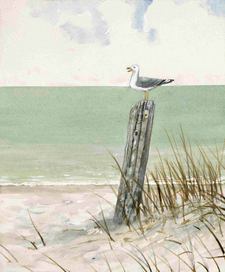 Compatible Landscape for Jahrriesnge bird-watching-lpf00847 Compatible Landscape Jahrriesnge for bird-watching-lpf00847