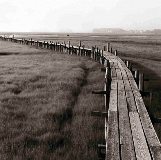 Compatible Landscape for JAHRRIESNGE wooden-bridge-lpf00851 Compatible Landscape JAHRRIESNGE for wooden-bridge-lpf00851
