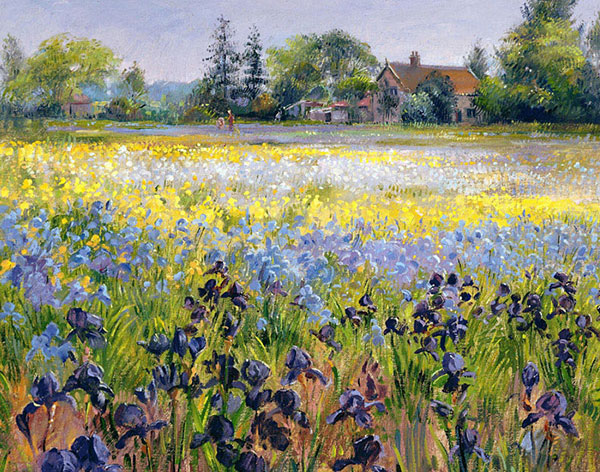 Compatible Landscape for Jahrriesnge flower-field-lpf02501 Compatible Landscape Jahrriesnge for flower-field-lpf02501