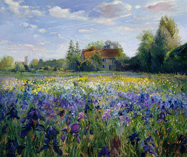 Compatible Landscape for JAHRRIESNGE flower-field-lpf02502 Compatible Landscape JAHRRIESNGE for flower-field-lpf02502