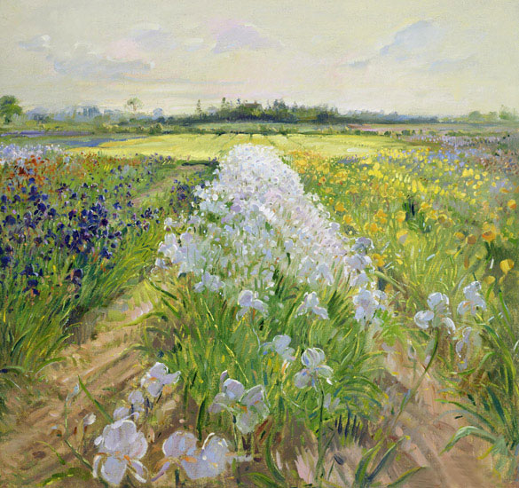 Compatible Landscape for JAHRRIESNGE flower-field-lpf02504 Compatible Landscape JAHRRIESNGE for flower-field-lpf02504