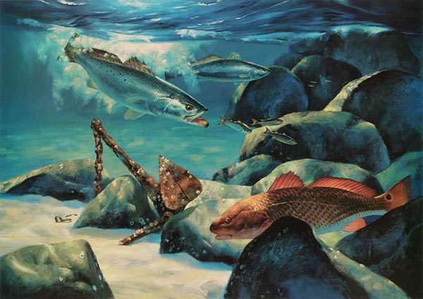 Compatible Animals for Jahrriesnge fish-lpf02520 Compatible Animals Jahrriesnge for fish-lpf02520
