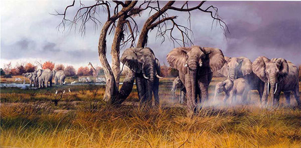 Compatible Animals for Jahrriesnge elephant-lpf02531 Compatible Animals Jahrriesnge for elephant-lpf02531