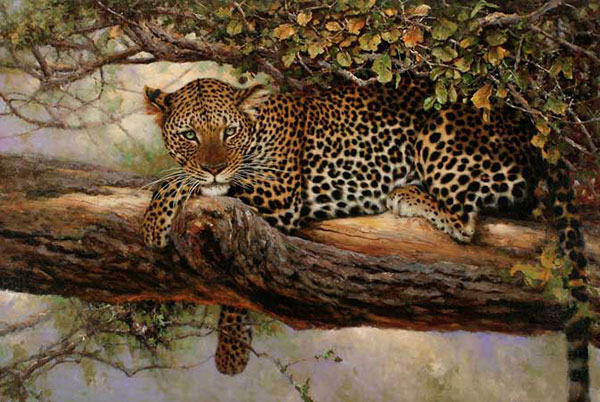 Compatible Animals for Jahrriesnge leopard-lpf02539 Compatible Animals Jahrriesnge for leopard-lpf02539