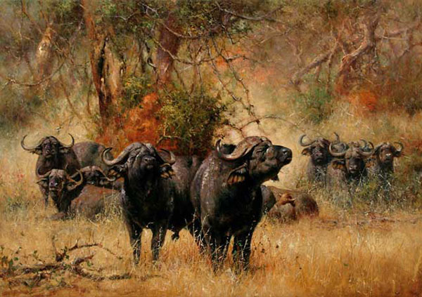Compatible Animals for Jahrriesnge bison-lpf02540 Compatible Animals Jahrriesnge for bison-lpf02540