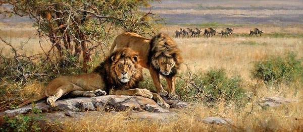 Compatible Animals for Jahrriesnge lions-lpf02542 Compatible Animals Jahrriesnge for lions-lpf02542