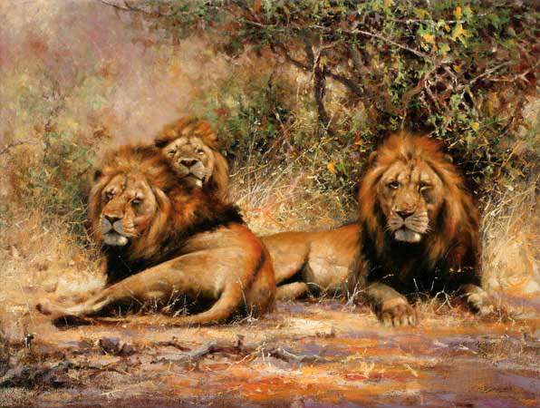 Compatible Animals for Jahrriesnge lions-lpf02543 Compatible Animals Jahrriesnge for lions-lpf02543