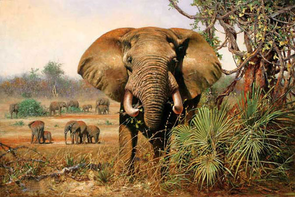 Compatible Animals for Jahrriesnge elephant-lpf02544 Compatible Animals Jahrriesnge for elephant-lpf02544