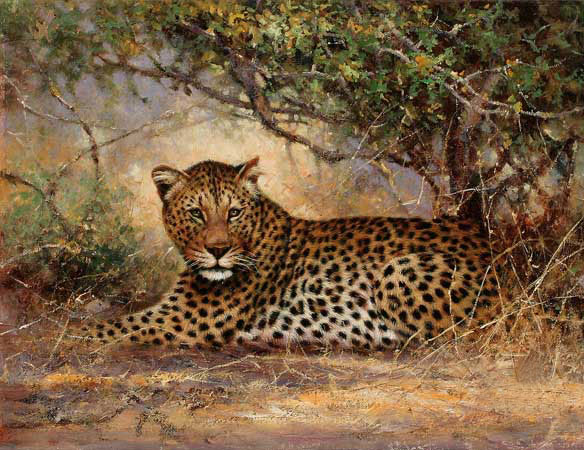 Compatible Animals for Jahrriesnge Leopard-lpf02547 Compatible Animals Jahrriesnge for Leopard-lpf02547