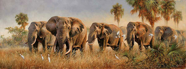 Compatible Animals for Jahrriesnge elephant-lpf02550 Compatible Animals Jahrriesnge for elephant-lpf02550