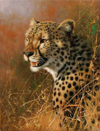 Compatible Animals for Jahrriesnge leopard-lpf02567 Compatible Animals Jahrriesnge for leopard-lpf02567