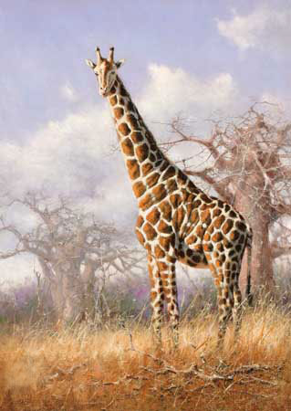 Compatible Animals for Jahrriesnge giraffe-lpf02571 Compatible Animals Jahrriesnge for giraffe-lpf02571