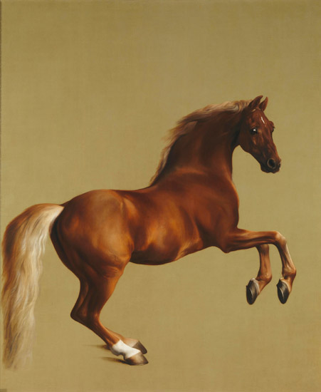 Compatible Animals for Jahrriesnge horse-lpf02578 Compatible Animals Jahrriesnge for horse-lpf02578