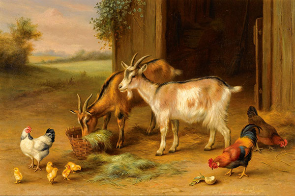 Compatible Animals for Jahrriesnge animals-lpf02586 Compatible Animals Jahrriesnge for animals-lpf02586