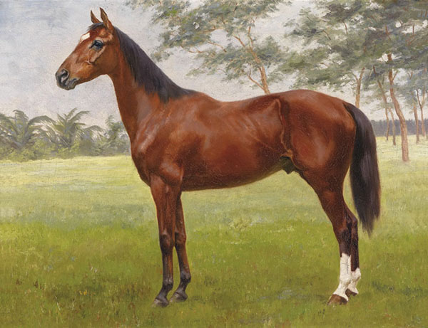 Compatible Animals for Jahrriesnge brown-horse-lpf02590 Compatible Animals Jahrriesnge for brown-horse-lpf02590