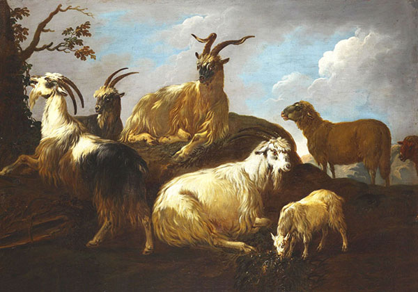 Compatible Animals for Jahrriesnge Himalayan-tal-sheep-lpf02594 Compatible Animals Jahrriesnge for Himalayan-tal-sheep-lpf02594