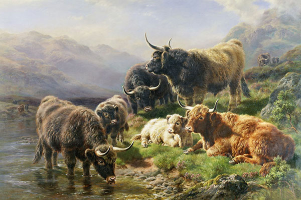 Compatible Animals for Jahrriesnge yak-lpf02600 Compatible Animals Jahrriesnge for yak-lpf02600