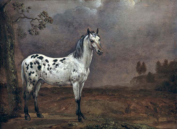 Compatible Animals for Jahrriesnge horse-lpf02607 Compatible Animals Jahrriesnge for horse-lpf02607