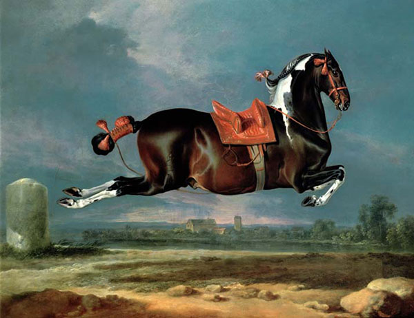 Compatible Animals for Jahrriesnge horse-lpf02608 Compatible Animals Jahrriesnge for horse-lpf02608