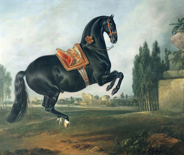 Compatible Animals for Jahrriesnge horse-lpf02609 Compatible Animals Jahrriesnge for horse-lpf02609