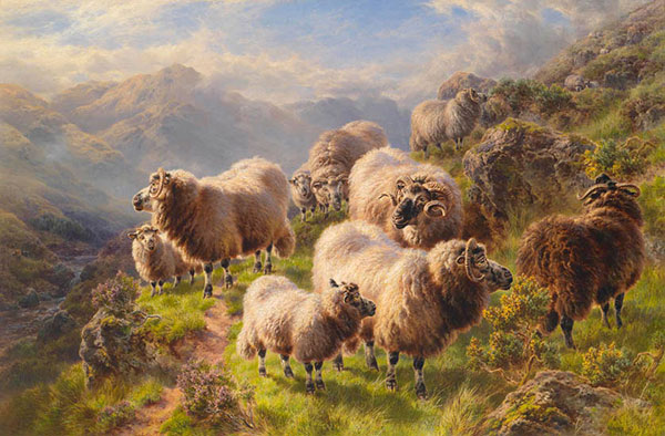 Compatible Animals for Jahrriesnge karakul-sheep-lpf02617 Compatible Animals Jahrriesnge for karakul-sheep-lpf02617