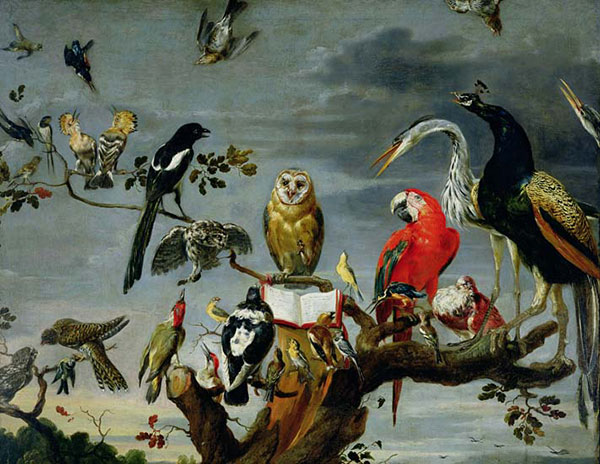 Compatible Animals for Jahrriesnge birds-lpf02620 Compatible Animals Jahrriesnge for birds-lpf02620