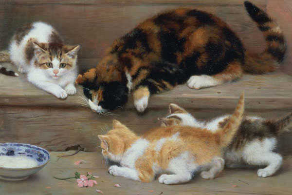 Compatible Animals for Jahrriesnge cat-lpf02627 Compatible Animals Jahrriesnge for cat-lpf02627