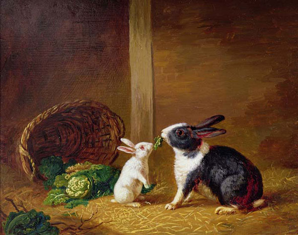 Compatible Animals for Jahrriesnge rabbit-lpf02630 Compatible Animals Jahrriesnge for rabbit-lpf02630