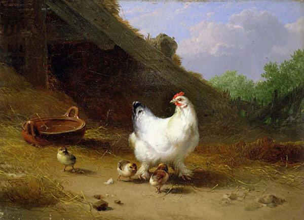 Compatible Animals for Jahrriesnge hen-and-chick-lpf02632 Compatible Animals Jahrriesnge for hen-and-chick-lpf02632
