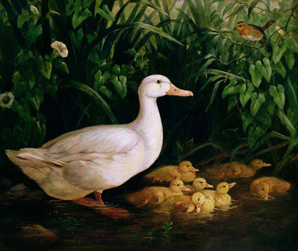 Compatible Animals for Jahrriesnge mother-duck-and-duckling-lpf02634 Compatible Animals Jahrriesnge for mother-duck-and-duckling-lpf02634