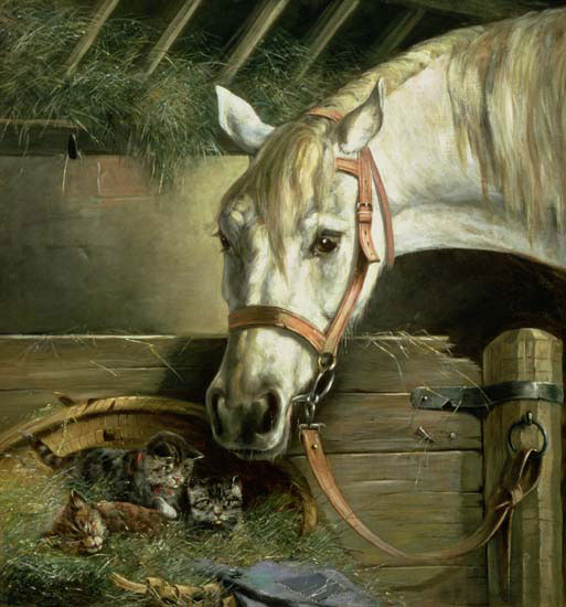 Compatible Animals for Jahrriesnge horse-lpf02651 Compatible Animals Jahrriesnge for horse-lpf02651