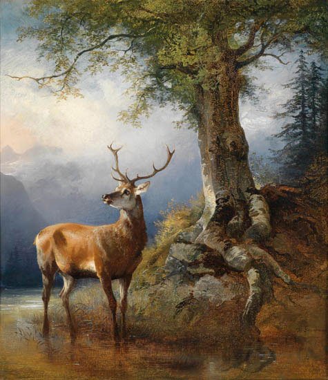 Compatible Animals for Jahrriesnge deer-lpf02657 Compatible Animals Jahrriesnge for deer-lpf02657