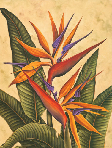Compatible Floral for JAHRRIESNGE bird of paradise flower lpf04605 Compatible Floral JAHRRIESNGE for bird of paradise flower lpf04605