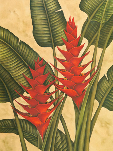 Compatible Floral for JAHRRIESNGE heliconia lpf04606 Compatible Floral JAHRRIESNGE for heliconia lpf04606