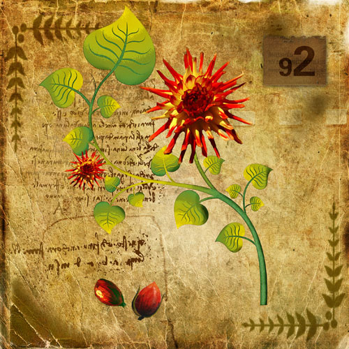 Compatible Floral for Jahrriesnge flowers-lpf06754 Compatible Floral Jahrriesnge for flowers-lpf06754