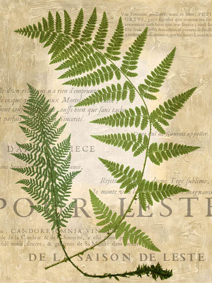 Compatible Floral for JAHRRIESNGE leaves-lpf06897 Compatible Floral JAHRRIESNGE for leaves-lpf06897