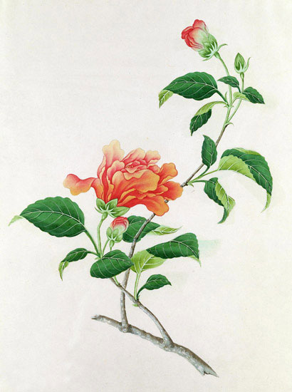 Compatible Floral for JAHRRIESNGE flowers-lpf07044 Compatible Floral JAHRRIESNGE for flowers-lpf07044