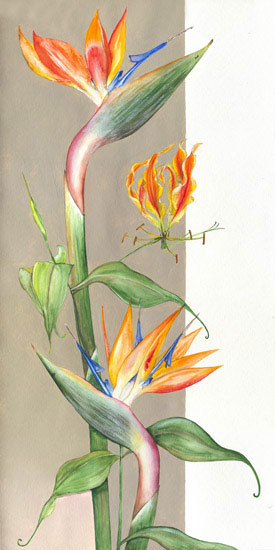 Compatible Floral for Jahrriesnge flowers-lpf07106 Compatible Floral Jahrriesnge for flowers-lpf07106