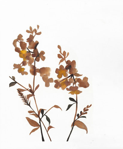 Compatible Floral for Jahrriesnge flowers-lpf07212 Compatible Floral Jahrriesnge for flowers-lpf07212