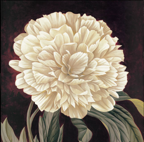 Compatible Floral for Jahrriesnge flowers-lpf07329 Compatible Floral Jahrriesnge for flowers-lpf07329