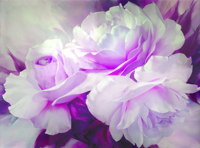 Compatible Floral for Jahrriesnge flowers-lpf07468 Compatible Floral Jahrriesnge for flowers-lpf07468