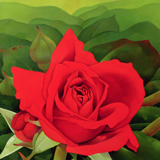 Compatible Floral for Jahrriesnge flowers lpf07965 Compatible Floral Jahrriesnge for flowers lpf07965
