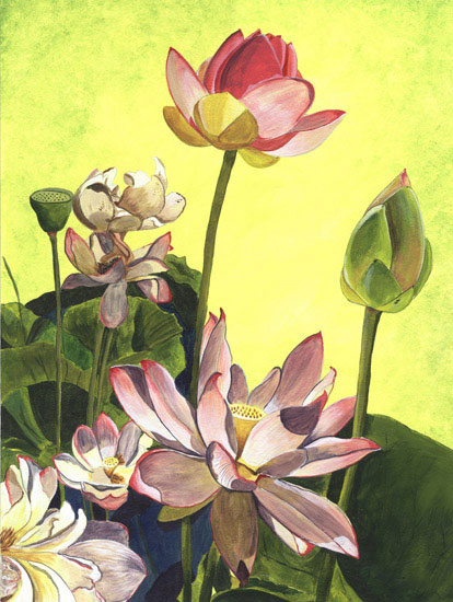 Compatible Floral for Jahrriesnge flowers lpf08104 Compatible Floral Jahrriesnge for flowers lpf08104