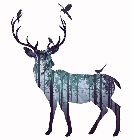 Compatible Animals for Jahrriesnge deer lpf08602 Compatible Animals Jahrriesnge for deer lpf08602