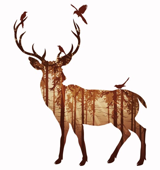 Compatible Animals for Jahrriesnge deer lpf08603 Compatible Animals Jahrriesnge for deer lpf08603