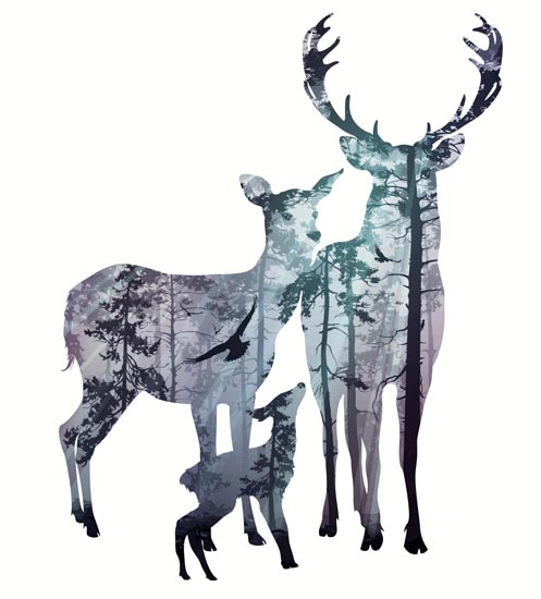 Compatible Animals for Jahrriesnge deer lpf08604 Compatible Animals Jahrriesnge for deer lpf08604